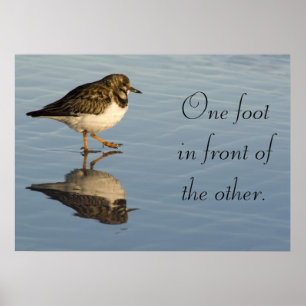 Sandpiper-Vogel motivierend Poster