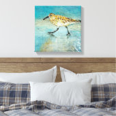 Sandpiper Wading Shorebird Weathered Look Leinwand (Insitu (Schlafzimmer))