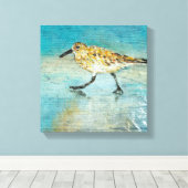 Sandpiper Wading Shorebird Weathered Look Leinwand (Insitu (Holzboden))