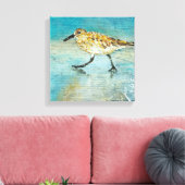 Sandpiper Wading Shorebird Weathered Look Leinwand (Insitu (Wohnzimmer))
