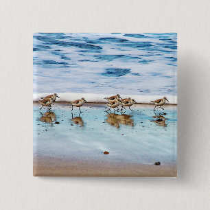 Sandpipers Running Along The Beach Button
