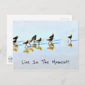 Sandpipper auf dem Hilton Head Beach laufen Postkarte (Vorne/Hinten)