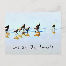 Sandpipper auf dem Hilton Head Beach laufen Postkarte