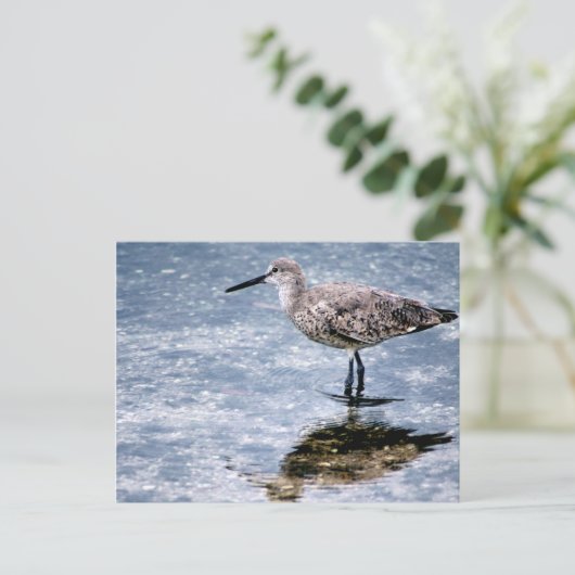 Sandpipper Postkarte (Stehend Vorderseite)