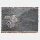 Sandpreis Decke (Vorderseite)