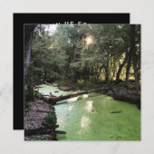 Sandpunkt Einladung (Vorne/Hinten)