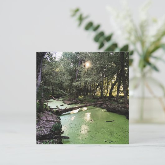 Sandpunkt Einladung (Stehend Vorderseite)