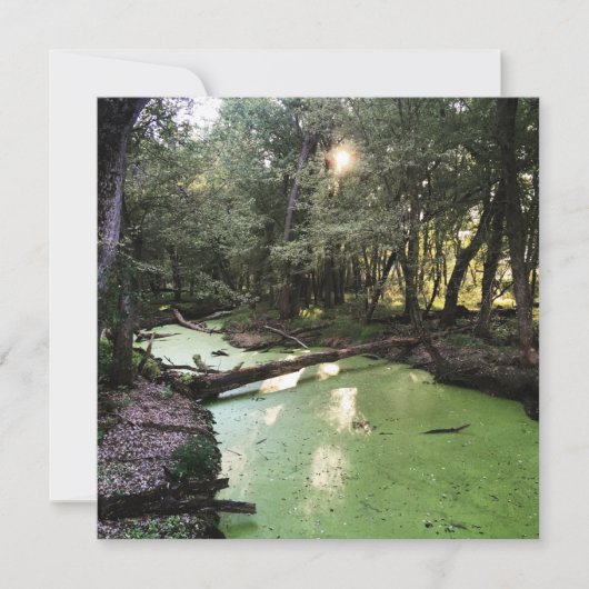 Sandpunkt Einladung (Vorderseite)