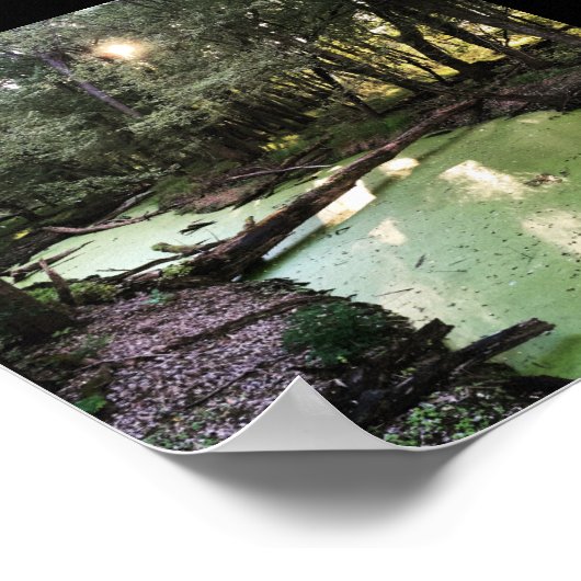 Sandpunkt Poster (Ecke)