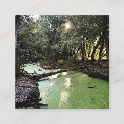 Sandpunkt Quadratische Visitenkarte (Vorderseite)