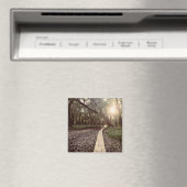 Sandpunktweg Minnesota Magnet (In Situ (Geschirrspüler))