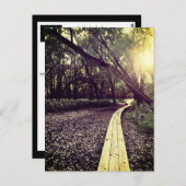 Sandpunktweg Minnesota Postkarte (Vorne/Hinten)