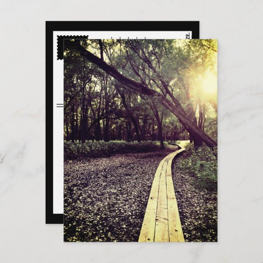 Sandpunktweg Minnesota Postkarte (Vorne/Hinten)