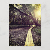 Sandpunktweg Minnesota Postkarte (Vorderseite)