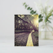 Sandpunktweg Minnesota Postkarte (Stehend Vorderseite)