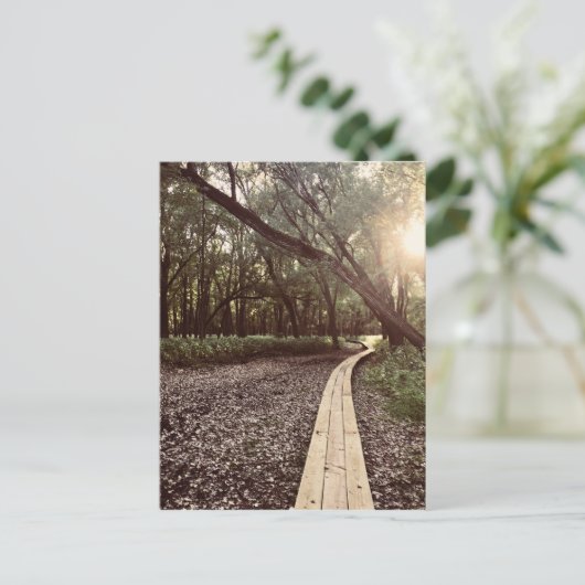 Sandpunktweg Minnesota Postkarte (Stehend Vorderseite)