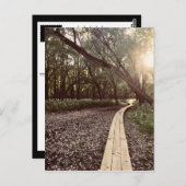 Sandpunktweg Minnesota Postkarte (Vorne/Hinten)