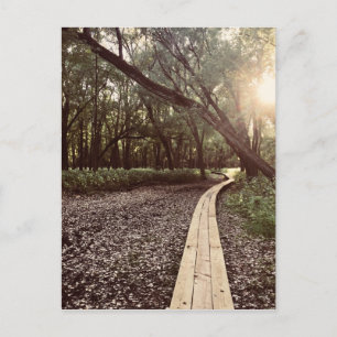 Sandpunktweg Minnesota Postkarte