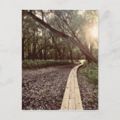 Sandpunktweg Minnesota Postkarte (Vorderseite)