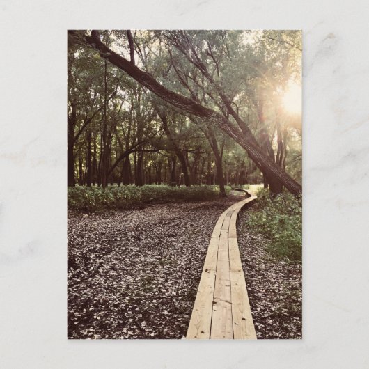 Sandpunktweg Minnesota Postkarte (Vorderseite)