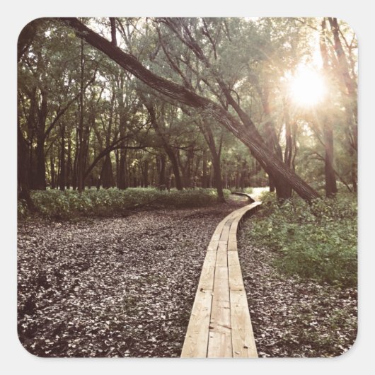 Sandpunktweg Minnesota Quadratischer Aufkleber (Vorderseite)