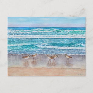 Sandregenpfeifer in der Monterey Bay Postkarte