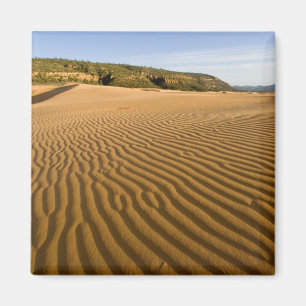 Sandrippel und Dünen bei Coral Pink Sand 2 Magnet