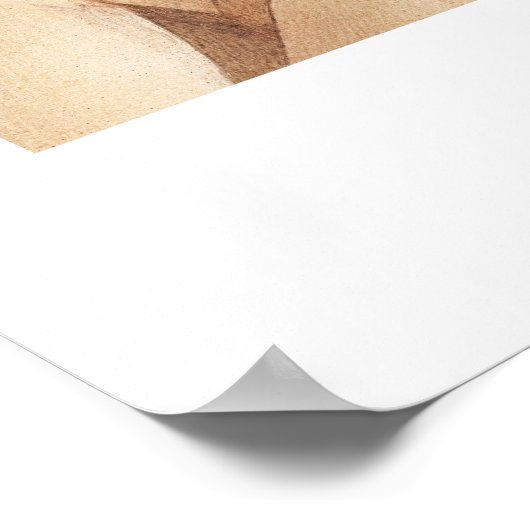 Sandro Botticelli Die Geburt der Ausstellung Venus Poster (Ecke)