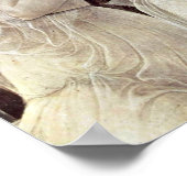 Sandro Botticelli - Drei Graces Poster (Ecke)