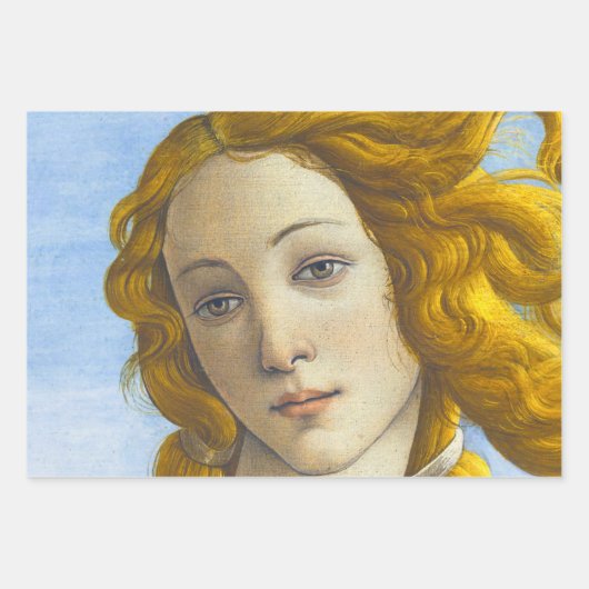 Sandro Botticelli - Geburt der Venus-Details Geschenkpapier Set (Vorderseite 3)