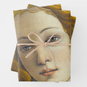 Sandro Botticelli - Geburt der Venus-Details Geschenkpapier Set (Beispiel)