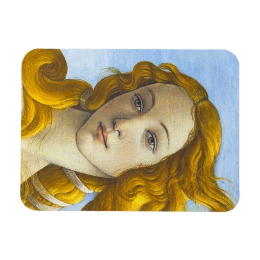 Sandro Botticelli - Geburt der Venus-Details Magnet (Horizontal)