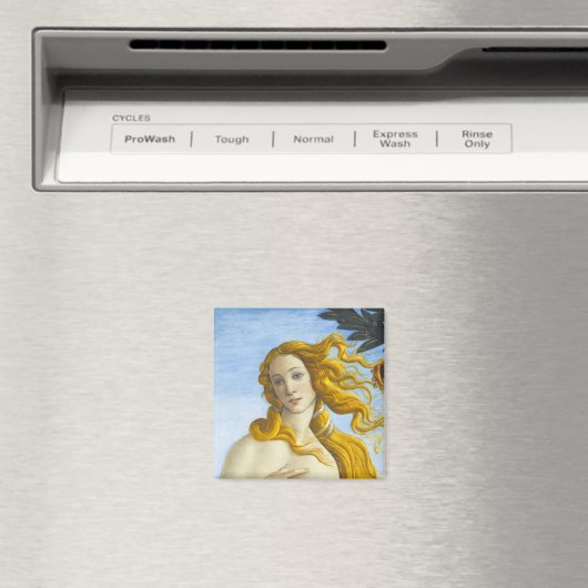 Sandro Botticelli - Geburt der Venus Nah-up Magnet (In Situ (Geschirrspüler))