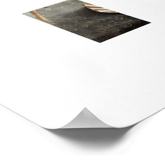 Sandro Botticellis Geburt der Venus (1485) Poster (Ecke)