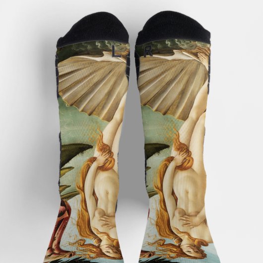 Sandro Botticellis Geburt der Venus (1485) Socken (Oben)