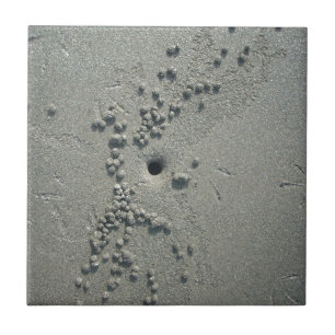 Sandskulpturen: Sandformationen von Strandkrebsen Fliese