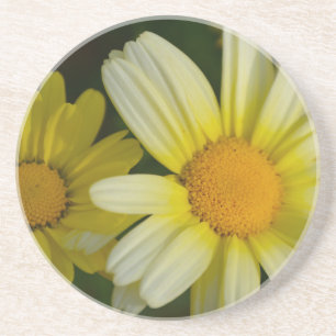 Sandstein Drink Untersetzer