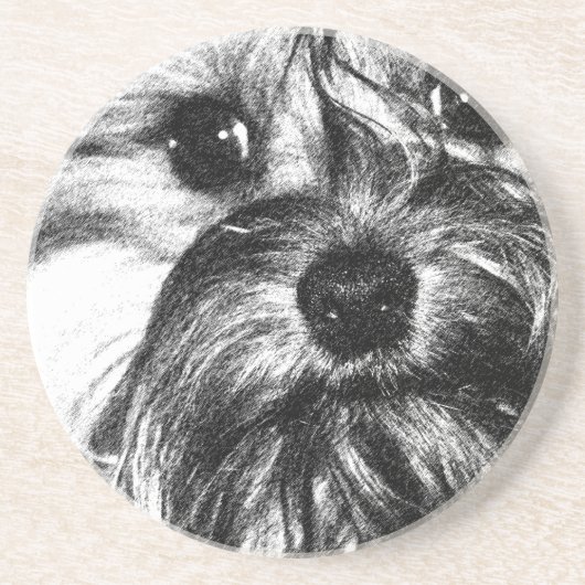 Sandstein-Getränk-Untersetzer Untersetzer (Vorne)