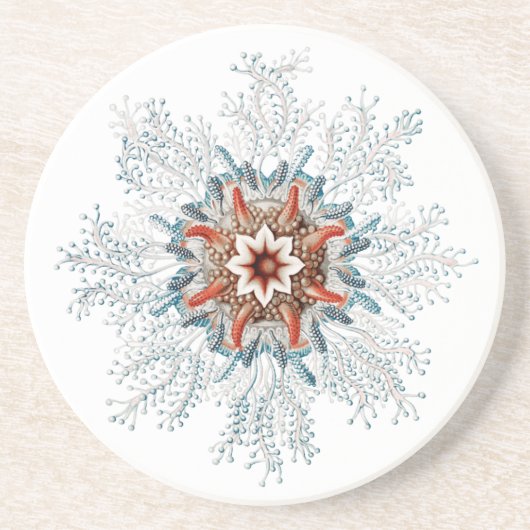 Sandstein Getränkeuntersetzer (Vorne)