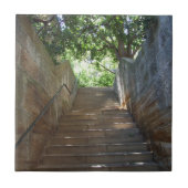 Sandstein tritt Fliese (Vorderseite)