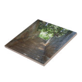 Sandstein tritt Fliese (Seite)