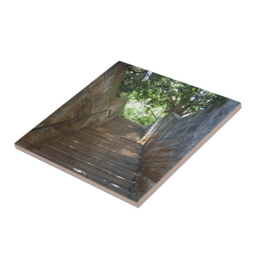 Sandstein tritt Fliese (Seite)