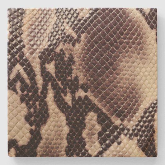 Sandstein Untersetzer-Schlange Haut Steinuntersetzer (Vorderseite)