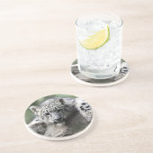 Sandsteindrink Untersetzer/Pferde Untersetzer (Seite)