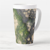 Sandsteinfelsenformation mit smaragdgrünem Moos Milchtasse (Rechte Ecke)