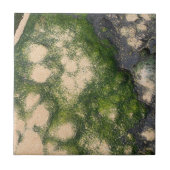 Sandsteinformation mit smaragdgrünem Moos Fliese (Vorderseite)