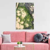 Sandsteinformation mit smaragdgrünem Moos Leinwanddruck (Insitu (Wohnzimmer))
