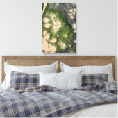 Sandsteinformation mit smaragdgrünem Moos Leinwanddruck (Insitu (Schlafzimmer))