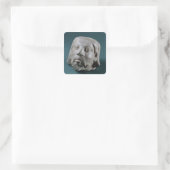 Sandsteinkopf eines Ausländers, Sarnath, 3. Quadratischer Aufkleber (Tasche)