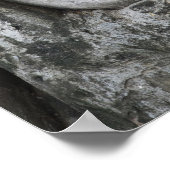 Sandsteinkopf von Buddha, umgeben von Baum Poster (Ecke)